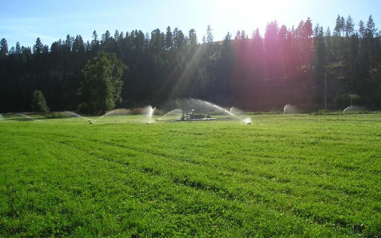 K-Line irrigation in use, creating lush green pastures. 